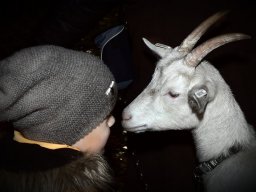 Příjezd sv. Martina 2022